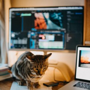 A cute tabby cat sits on a wooden table next to a laptop in a modern home office.